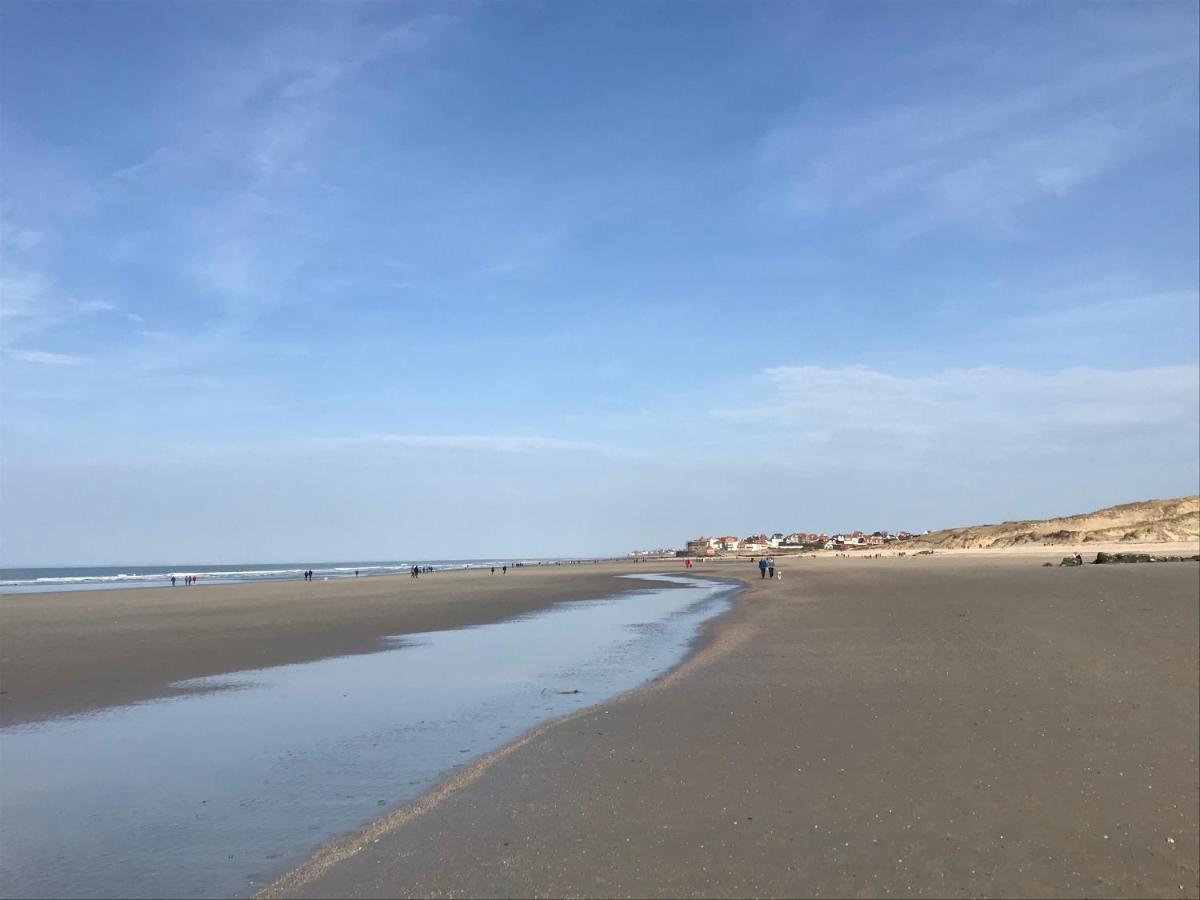 Le Grand Bleu Lejlighed Wimereux Eksteriør billede